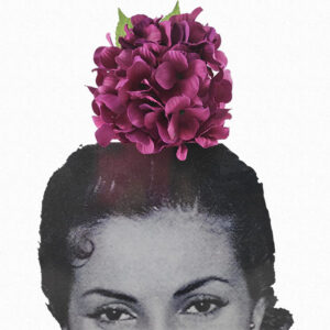 Flor hortensia (varios colores)